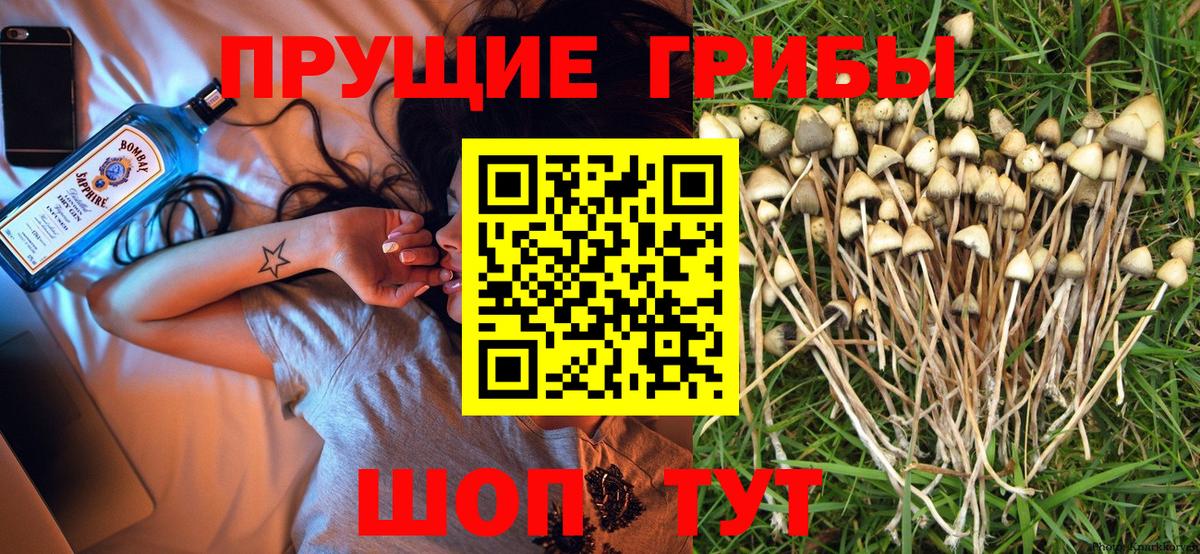 Партизанск  наркошоп  Вход с VPN  Псилоцибиновые грибы MAGIC MUSHROOMS 